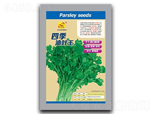 �ļ����~��-��˷N��-��ɷN�I