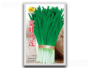 ���~�Rɏ-�²˷N��-��ɷN�I