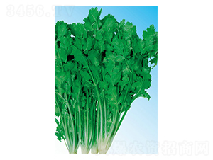 ��������-ܾݴ�N��-��ɷN�I