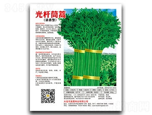 ��U����(������)-����N��-��ɷN�I