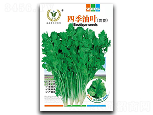 �ļ����~-ܾݴ�N��-��ɷN�I