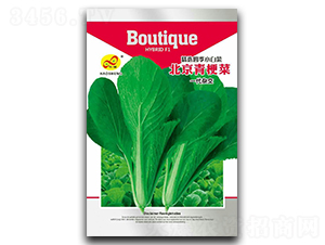 �����๣-�๣�˷N��-��ɷN�I