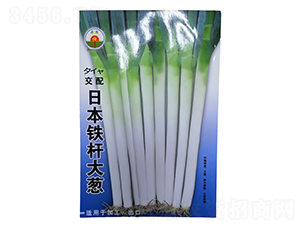 �ձ��F�U���[-���[�N��-�����r�I