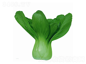 ��N�A��-�๣�˷N��-�A�߷N�I(y��)