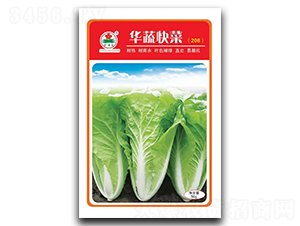 �A�߿��-��˷N��-�A�߷N�I(y��)