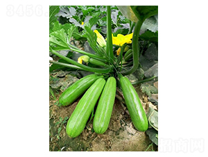 �̽��G-�����J�N��-�A�߷N�I