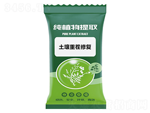 �����ز��ޏ�-ǧ���