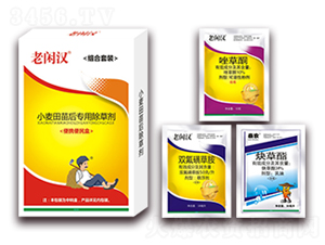 С���������݄�-���e�h-���r���_