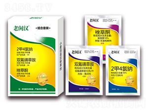 С������݄�-���e�h-���r���_