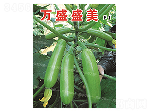 �fʢʢ��-�����J�N��-�˶��fʢ