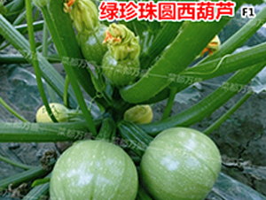 �G����-�����J�N��-�˶��fʢ