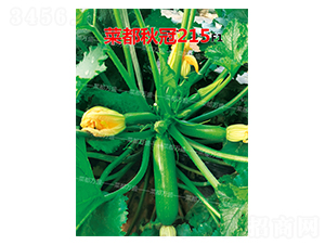 �˶����215-�����J�N��-�˶��fʢ