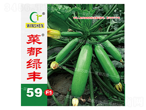 �˶��G�S59-�����J�N��-�˶��fʢ