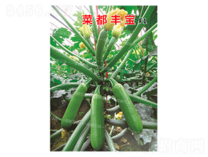 �˶��S��-�����J�N��-�˶��fʢ