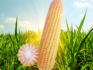 �x��71-���׷N��-��Դ�N�I