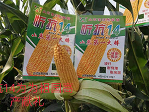 �ÿ�14-���׷N��-��Դ�N�I