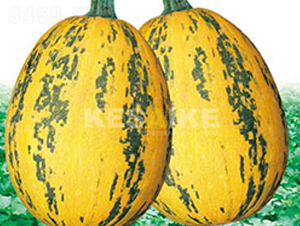 �r(n��ng)�l(f��)һ̖-�����J�N��-�wِ�w