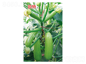 �P��F1-�����J�N��-�wِ�w