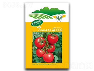 �t��-���ѷN��-�|���r�I