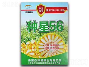 �N��56-���׷N��-�N�ǷN�I