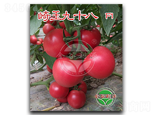 �����ʮ��-���ѷN��-��Դ�N�I(y��)