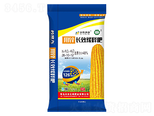 �L(zh��ng)Ч��ጷ�26-10-12-���r(n��ng)�|��