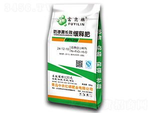 ���B©�L(zh��ng)Ч��ጷ�24-12-10-������-���r(n��ng)�|��