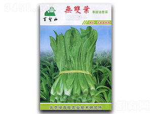 �o�p�~-�����˷N��-�G����