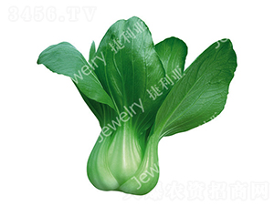 ����G-�๣�˷N��-������