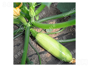 ����147-�����J�N��-������