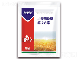 С�����s�ݽ�Q����-�rҊЦ-�������r