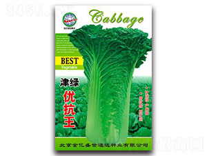 ��G������-�ײ˷N��-����