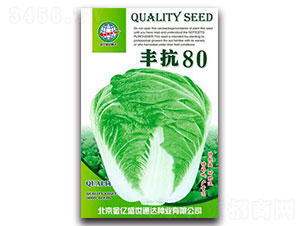 �S��80-�ײ˷N��-����