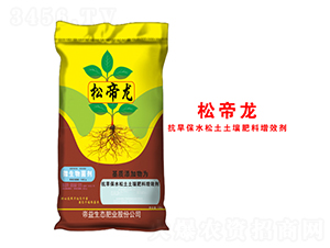 �����{�턩-�ɵ���-�����