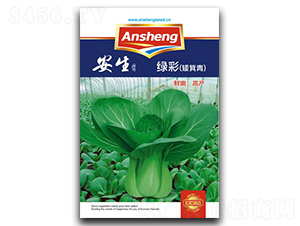 �G��-��˷N��-����