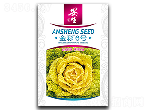 ���6̖-��˷N��-����