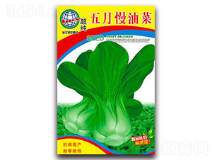 �������Ͳ�-�๣�˷N��-����