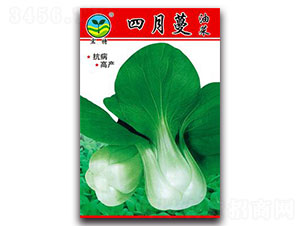 ������-�๣�˷N��-����