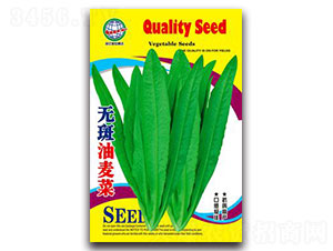 �o��������-�����˷N��-����