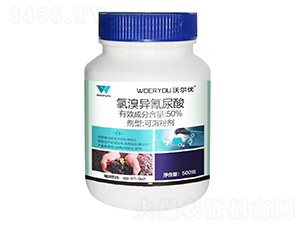 50%���宐��������ܷۄ�-�֠���