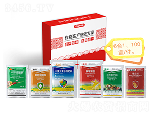 ����߮a�����ײͣ�6��1��-�����