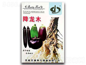 降龍木-茄子種子-天瑞種子