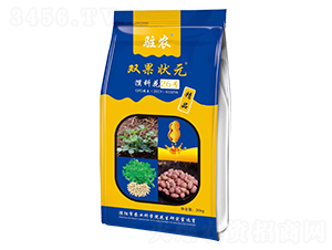 �p����Ԫ-�����N��-�����N�I