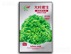 ���~����-���˷N��-����