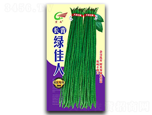 �L��G����-�����N��-����