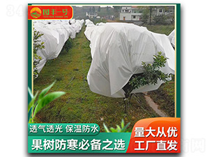 果樹防寒布-威駿科技