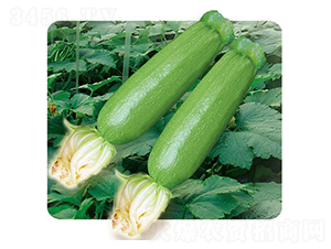 ����-�����J�N��-�Є����S