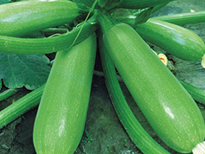 ����8068-�����J�N��-�Є����S