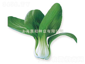 ƽ����̖-��˷N��-�ݺͷN�I(y��)