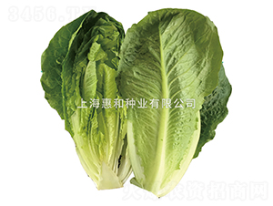 �G��-���˷N��-�ݺͷN�I(y��)